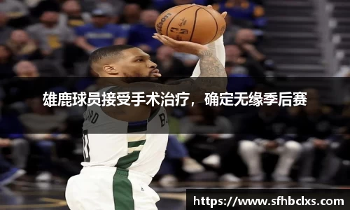 星空·综合体育官方网站