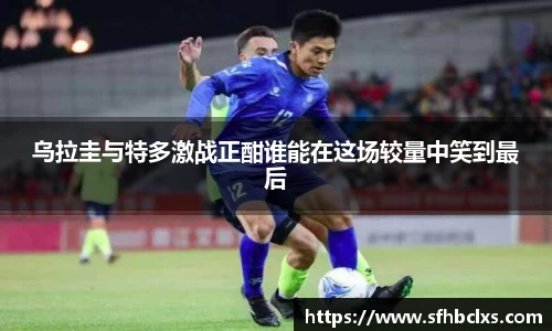 星空·综合体育官方网站