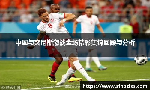 星空·综合体育中国官网