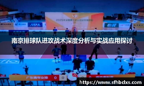 星空·综合体育官方网站