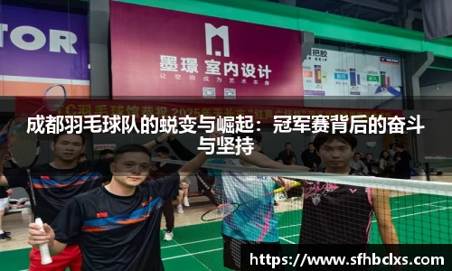 星空·综合体育官方网站