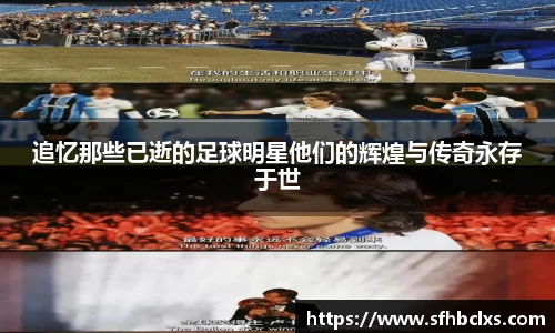 追忆那些已逝的足球明星他们的辉煌与传奇永存于世